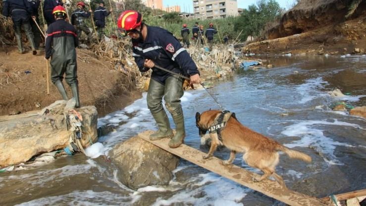 وفاة 4 أشخاص إثر ارتفاع لمنسوب المياه بتلمسان