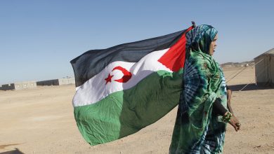 بلجيكا تؤكّد التزامها بالقانون الدولي بشأن الصحراء الغربية