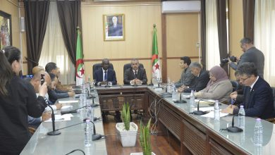 بكالوريا مهنية