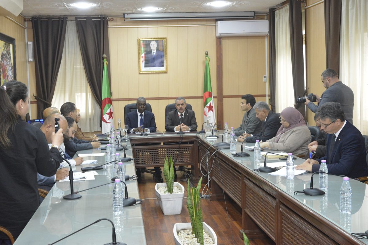 بكالوريا مهنية