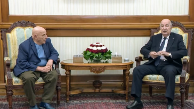 رئيس الجمهورية عبد المجيد تبون خلال استقباله الكاتب رشيد بوجدرة