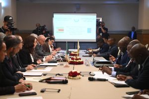 سلمة بختة منصوري خلال افتتاح أشغال اللجنة المشتركة الجزائرية الزيمبابوية