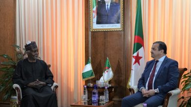لقاء بين محمد عرقاب ووزير خارجية نيجيريا حول مشاريع الطاقة المشتركة بالجزائر