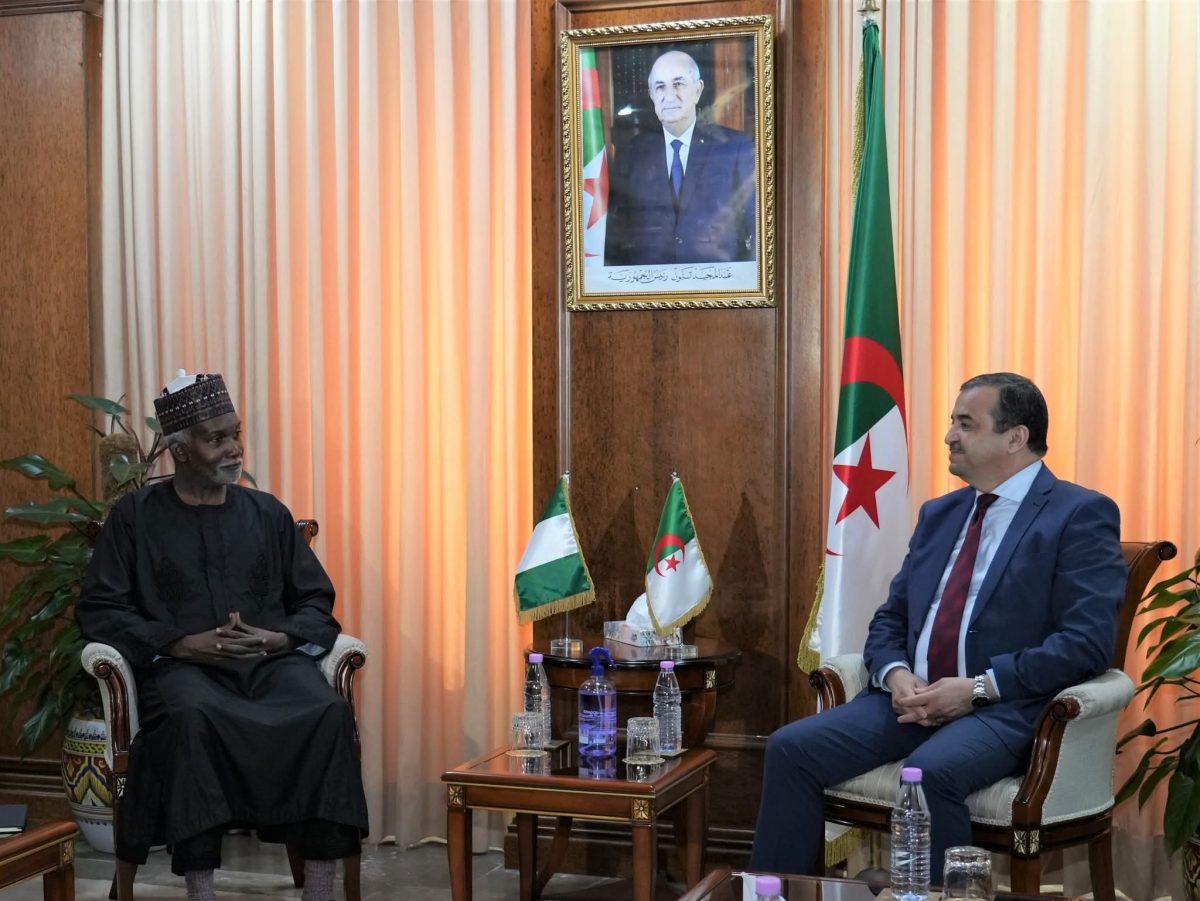 لقاء بين محمد عرقاب ووزير خارجية نيجيريا حول مشاريع الطاقة المشتركة بالجزائر