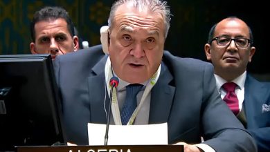 عمار بن جامع خلال كلمته أمام مجلس الأمن حول الوضع في سوريا