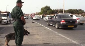 عملية نوعية للدرك الوطني ببشار لحجز كمية ضخمة من الحبوب المهلوسة