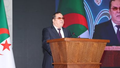 الوزير محمد مزيان خلال كلمته في الملتقى العربي حول اللغة العربية والإعلام