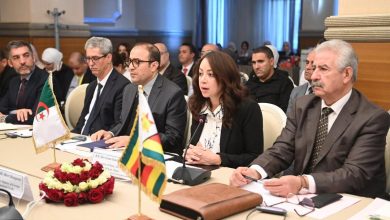 سلمة بختة منصوري خلال افتتاح أشغال اللجنة المشتركة الجزائرية الزيمبابوية