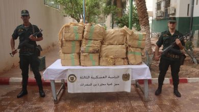 الجيش الوطني الشعبي يحبط تهريب مخدرات من المغرب
