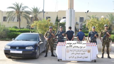 الجيش الوطني الشعبي يحبط تهريب كميات ضخمة من المخدرات عبر الحدود المغربية