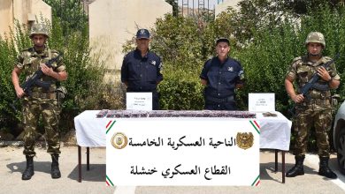 الجيش الوطني الشعبي يحبط محاولات إدخال الكيف المعالج عبر المغرب
