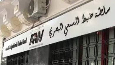 السلطة الوطنية المستقلة لضبط السمعي البصري تعلن توقيف قنوات تلفزيونية بسبب إخلالات مهنية