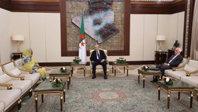 رئيس الجمهورية عبد المجيد تبون يستقبل سفيرة السودان نادية محمد خير في قصر المرادية