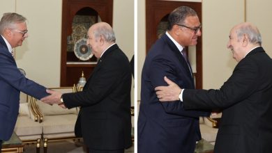 رئيس الجمهورية عبد المجيد تبون خلال استقباله لسفيري السويد ومصر في زيارة وداع