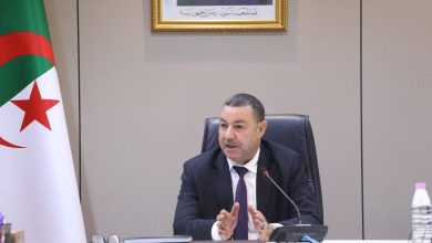 السعيد سعيود يترأس اجتماعًا بمقر وزارة النقل لدعم أسطول لوجيترانس وتعزيز تموين ولايات الجنوب بالوقود