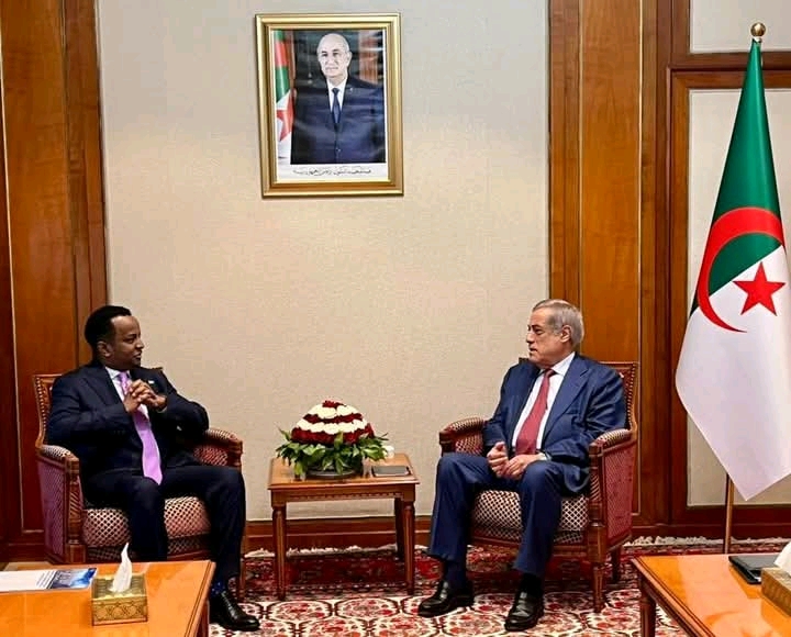 الوزير الأول نذير العرباوي خلال استقباله وزير الخارجية الصومالي في قصر الحكومة