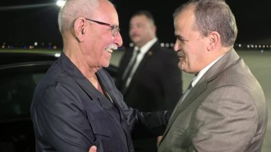 وزير التجارة كمال رزيق يستقبل الرئيس الصحراوي إبراهيم غالي في مطار هواري بومدين الدولي
