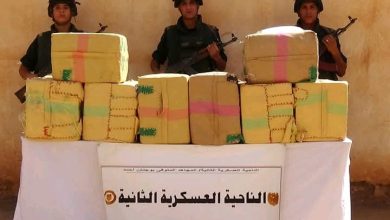 الجيش الوطني الشعبي يحبط إدخال أكثر من 6 قناطير من الكيف المعالج عبر الحدود مع المغرب