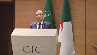 سفيان شايب خلال كلمته في اختتام يوم الجاليات الإفريقية ضمن IATF 2025 بالجزائر العاصمة