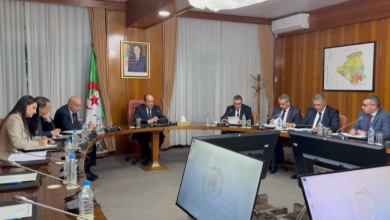 الوزير الأول سيفي غريب خلال ترؤسه اجتماعًا وزاريًا مشتركًا لمتابعة التحضيرات للدخول المدرسي 2025-2026