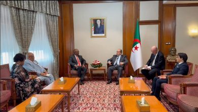 الوزير الأول بالنيابة سيفي غريب يستقبل وزير التجارة الجنوب إفريقي باركس تاو بالجزائر