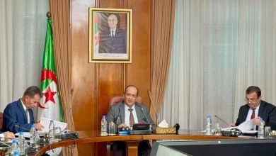 الوزير الأول بالنيابة سيفي غريب يترأس اجتماع مجلس مساهمات الدولة