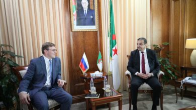 وزير الطاقة محمد عرقاب خلال لقائه مع نائب وزير الطاقة الروسي بالجزائر