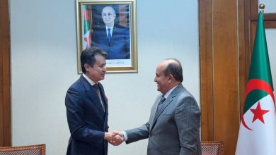 الوزير الأول بالنيابة سيفي غريب مع المدير العام للمنظمة العالمية للملكية الفكرية دارين تانغ في الجزائر