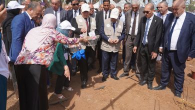 إطلاق الإستراتيجية الوطنية لتطوير زراعة الزعفران في الجزائر