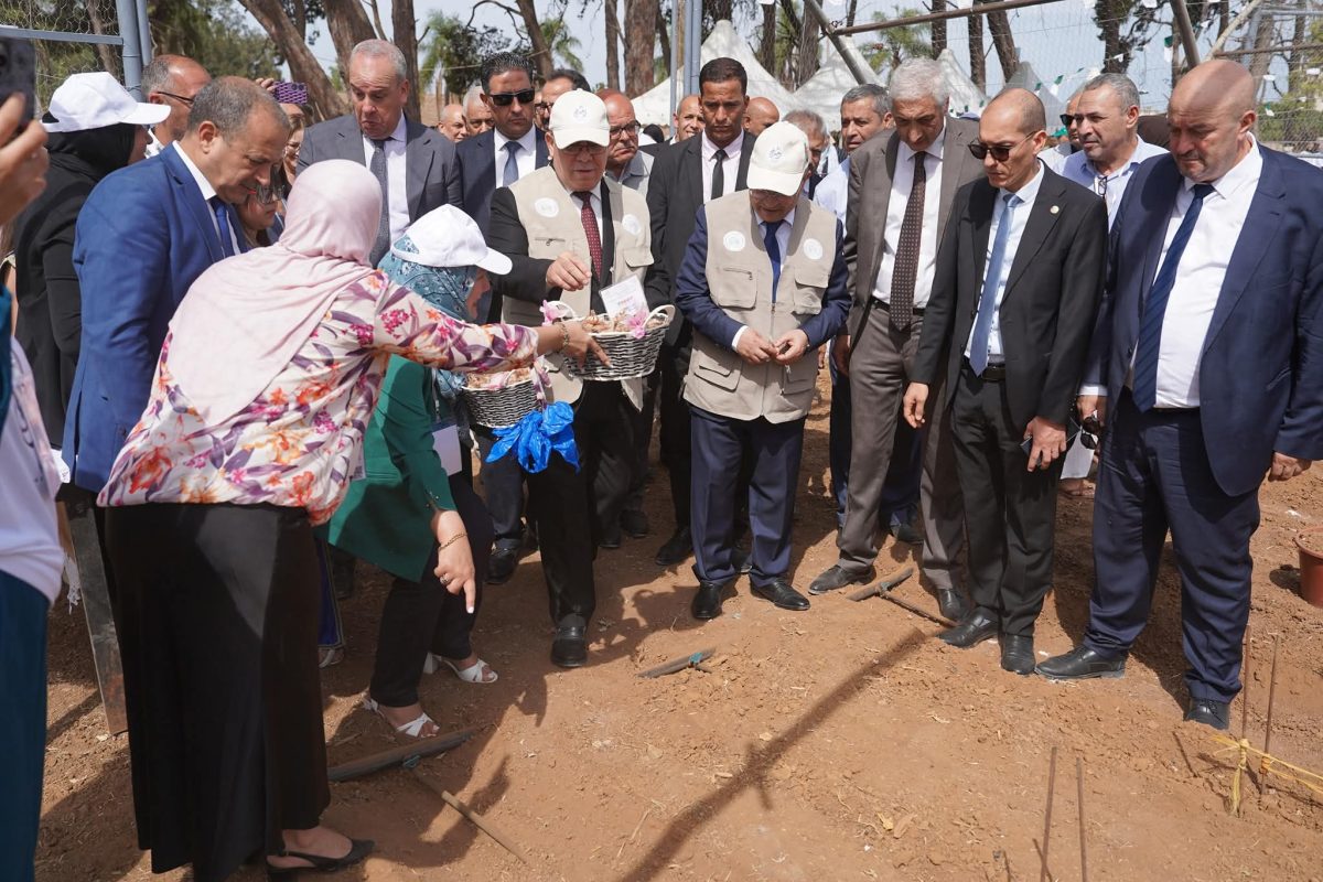 إطلاق الإستراتيجية الوطنية لتطوير زراعة الزعفران في الجزائر