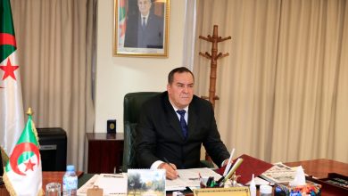 وزير الاتصال محمد مزيان يؤكد نجاح الجزائر في تجسيد رؤية الرئيس تبون للتكامل الإفريقي خلال معرض التجارة البينية 2025