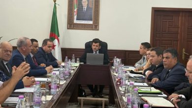 وزير الفلاحة ياسين وليد يضع التحضير للندوة الوطنية لعصرنة الفلاحة على جدول أعمال القطاع