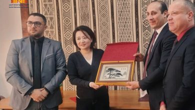 الشركة لقابضة الوطنية للحديد تُعزّز التعاون م شيري لتطوير صناعة السيارات في الجزائر