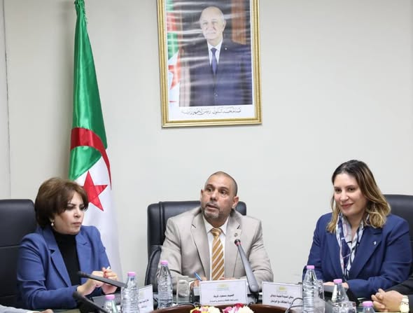 لجنة الثقافة بالبرلمان تستعرض استراتيجية القطاع لآفاق 2026