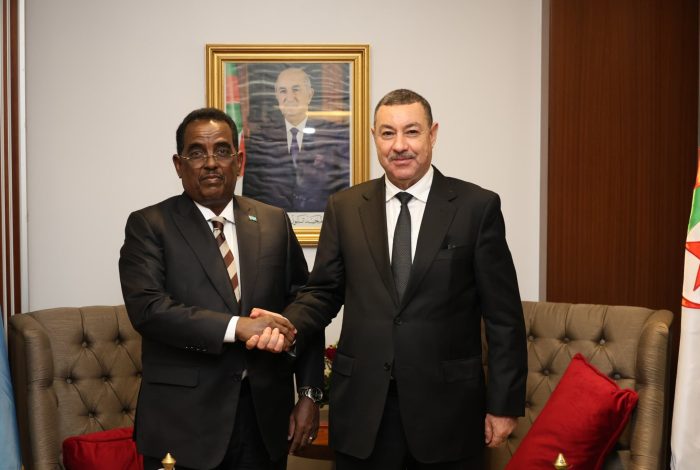 سعيود يستقبل نظيره الصومالي