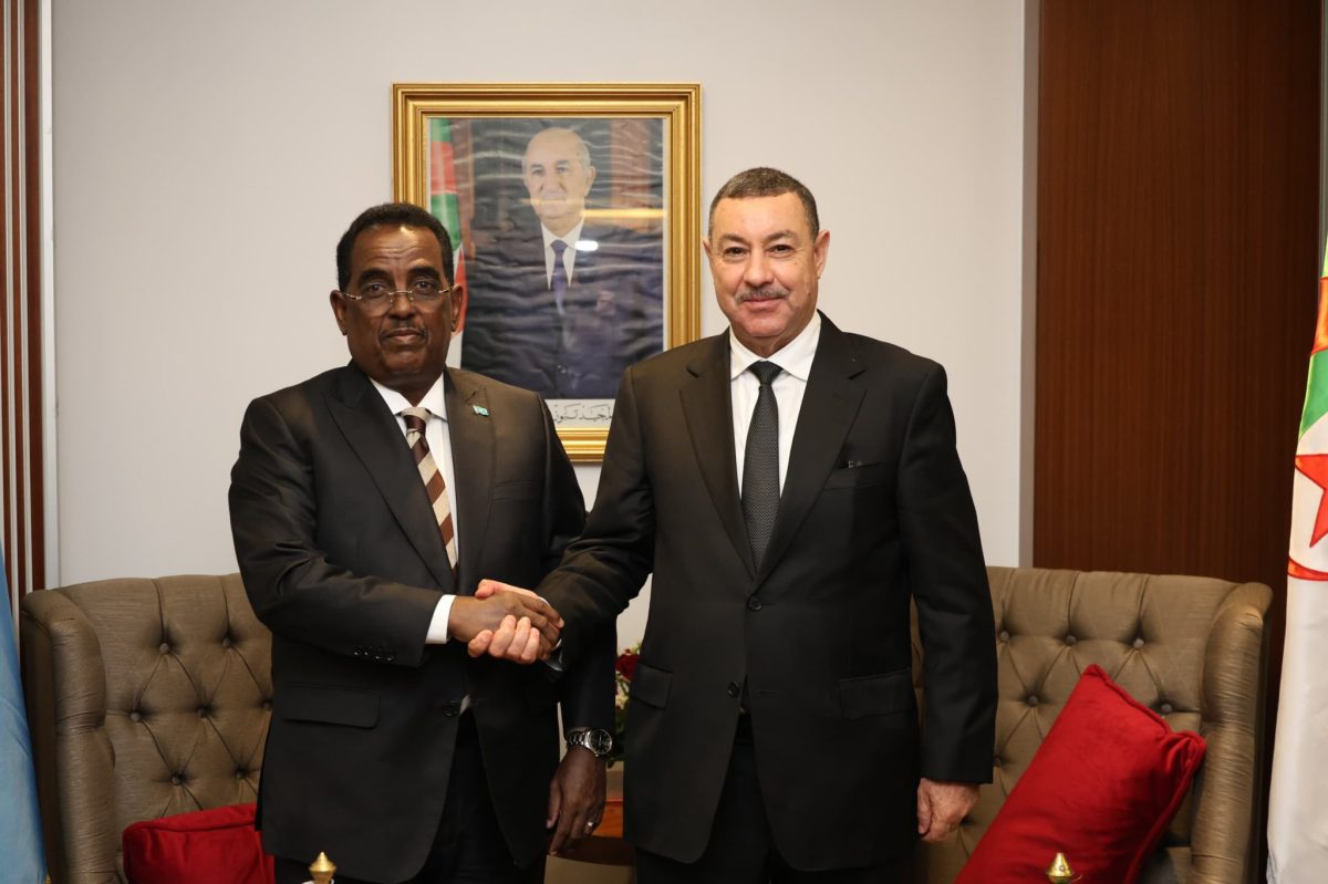 سعيود يستقبل نظيره الصومالي