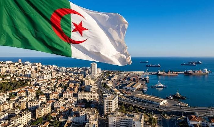مركز "CSIS" بواشنطن...الجزائر تفك شفرة الاستثمار العالمي و تثبت مكانتها كقوة إقليمية لا غنى عنها