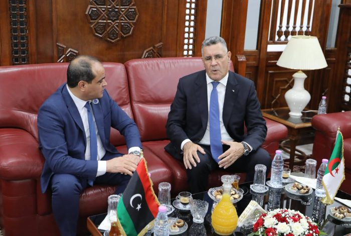 وزير الري يبحث سبل التعاون مع نظيره الليبي