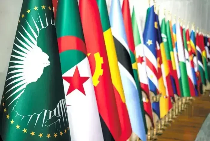 الجزائر تكرس الحضور الإفريقي الفاعل في ختام رئاستها لمجلس السلم والأمن