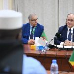 الوزير الأول سيفي غريب في افتتاح جلسة العمل مع نظيره المالي بباماكو