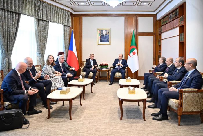 الوزير الأول يجري محادثات ثنائية مع نظيره التشيكي