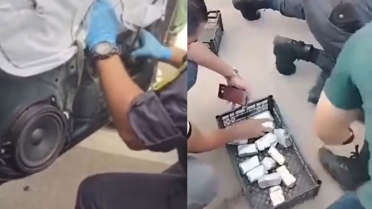 حجز قرابة 22 كلغ من الكيف المعالج بالشلف